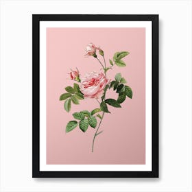 Vintage Pink Rose Turbine Botanical on Soft Pink Art Print