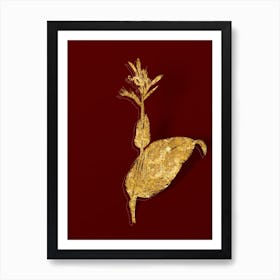Vintage Indian Shot Botanical in Gold on Red n.0253 Art Print