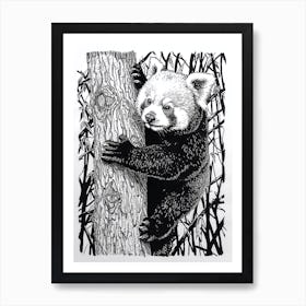 Red Panda Cub Climbing A Tree Ink Illustration 2 Art Print