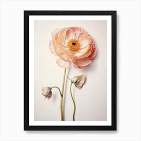 Pressed Flower Botanical Art Ranunculus 3 Art Print