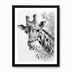 Pencil Portrait Of A Giraffe In The Trees 2 Art Print