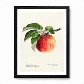 Apple Print Art Print