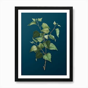Vintage Silver Birch Botanical Art on Teal Blue n.0397 Art Print
