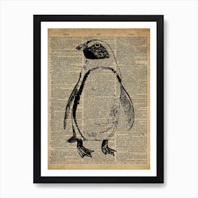 Penguin Bird Art Print