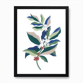 Coffee Plant Botanical Gouache Painting Art Print