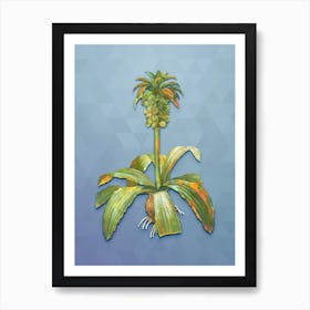 Vintage Eucomis Regia Botanical Art on Summer Song Blue n.2008 Art Print