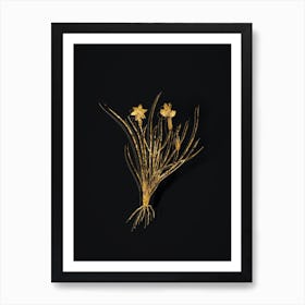 Vintage Golden Blue eyed Grass Botanical in Gold on Black n.0283 Art Print