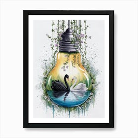 Swans In Water 1 Art Print