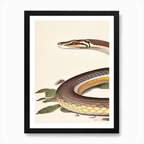 Coastal Taipan Snake Vintage Art Print