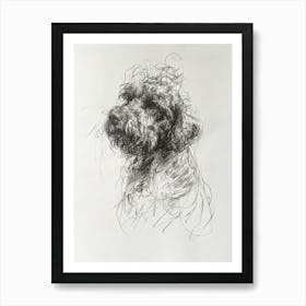Spanish Water Dog Dog Charcoal Line 3 Art Print