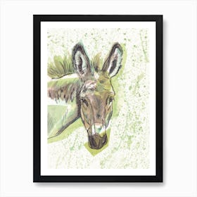 Donkey- Watercolour Art Print