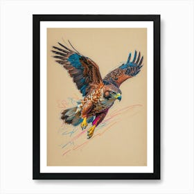 Hawk In Flight 1 Art Print