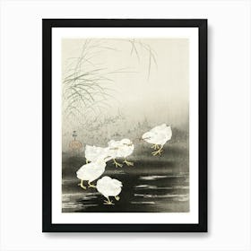 Chicks Eating Worms (1900 1930), Ohara Koson Art Print