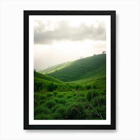 Green Hills In The Rain Forest Art Print