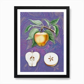 Vintage Carla Apple Botanical Illustration on Veri Peri n.0785 Art Print