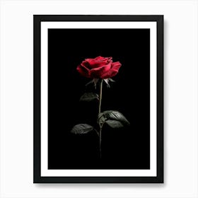 Single Red Rose On Black Background 3 Art Print