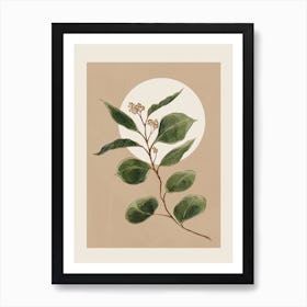 Beautiful Plant Leaves 3 Art Print