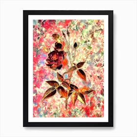 Impressionist Common Rose of India Botanical Painting in Blush Pink and Gold Art Print