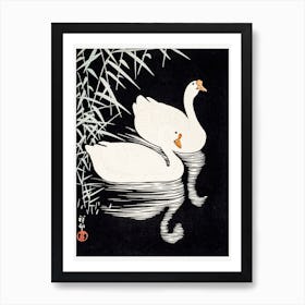 White Chinese Geese Swimming By Reeds, Ohara Koson Art Print