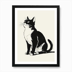 Black And White Cat Art Print