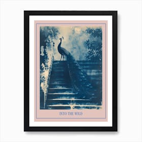 Peacock Feathers On Steps Cyanotype Inspired Poster Art Print