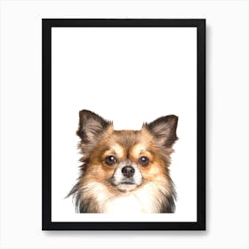 Cute Chihuahua Art Print