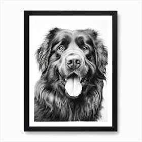 Newfoundland Dog, Line Drawing 1 Art Print