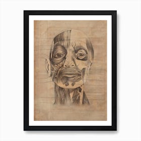 Vintage Anatomy Face Muscle Art Print