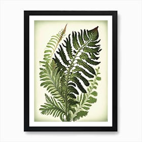 Royal Fern 3 Vintage Botanical Poster Art Print