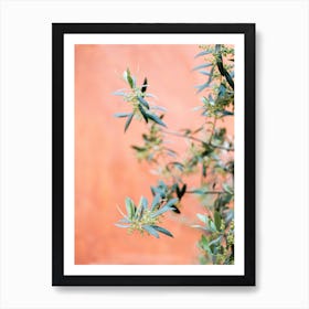 Green And Coral Art Print