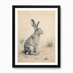 Lionhead Rabbit Drawing 1 Art Print