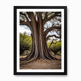 Tree Of Life Art Print