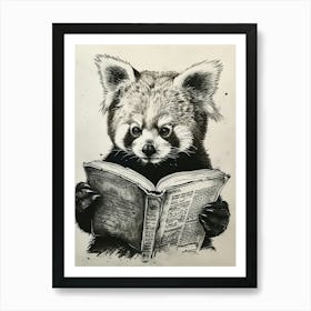 Red Panda Reading Ink Illustration 3 Art Print