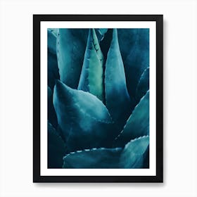 Cactus No.4 Art Print