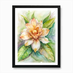 Magnolia Flower Art Print