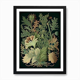 Fo Ti Herb Vintage Botanical Art Print