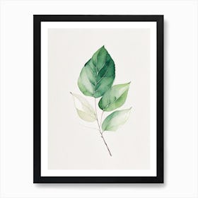 Salal Leaf Minimalist Watercolour 1 Art Print