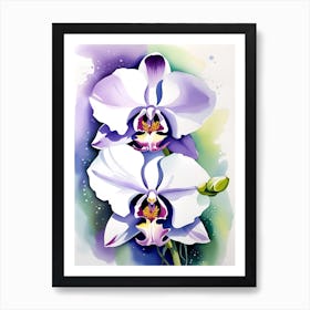 Orchids 4 Art Print