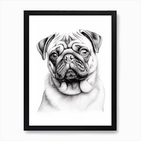 Pug Dog, Line Drawing 4 Art Print