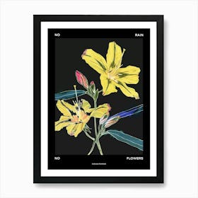 No Rain No Flowers Poster Evening Primrose 3 Art Print