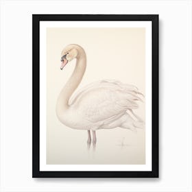 Vintage Bird Drawing Swan 2 Art Print