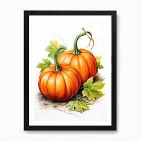 Jarrahdale Pumpkin Watercolour Illustration 3 Art Print