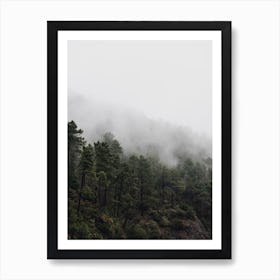 Misty Forest in the mountains of Tuscany, Italy Art Print