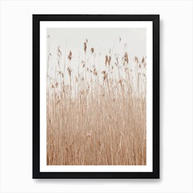 Bohemian Pampas Grass Art Print