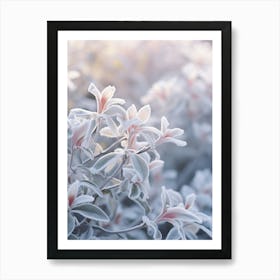 Frosty Botanical Winter Honeysuckle 2 Art Print