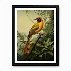 Aerial Splendor: Wilson's Bird-of-Paradise Print Art Print