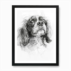 English Toy Spaniel Dog Charcoal Line 1 Art Print