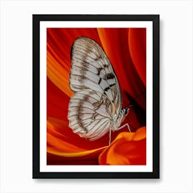 Butterfly On A Red Flower Art Print