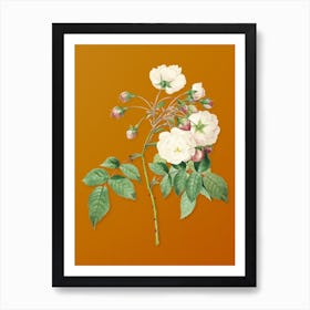 Vintage Adelia Aurelianensis Botanical on Sunset Orange n.0057 Art Print