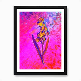 Dalmatian Iris Botanical in Acid Neon Pink Green and Blue n.0034 Art Print